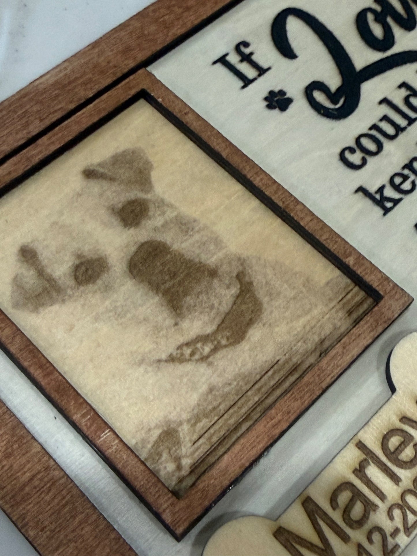Personalized Pet Memorial Photo Frame - Engraved Keepsake